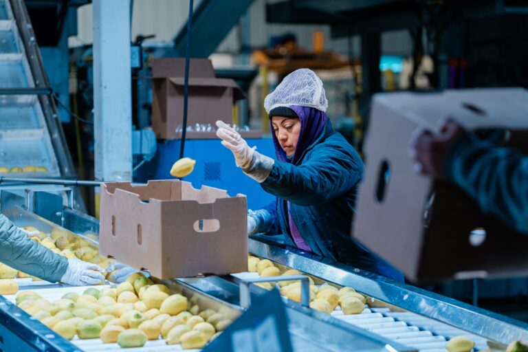 americold worker going through produce