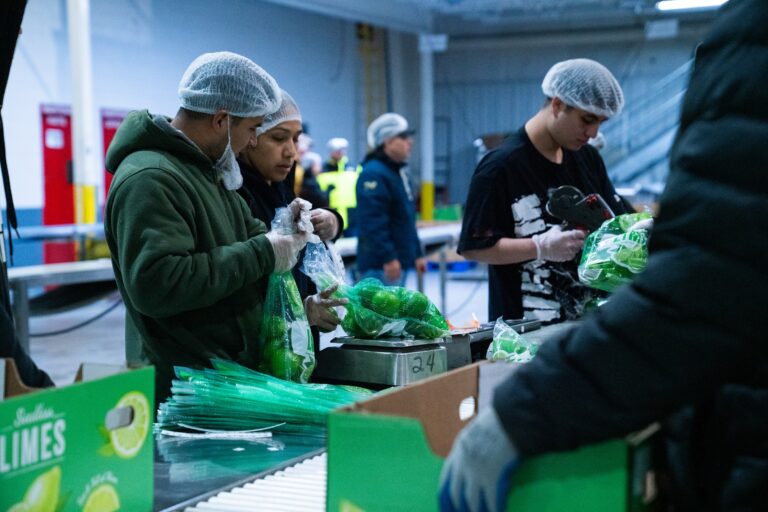 workers weight limes in a facility