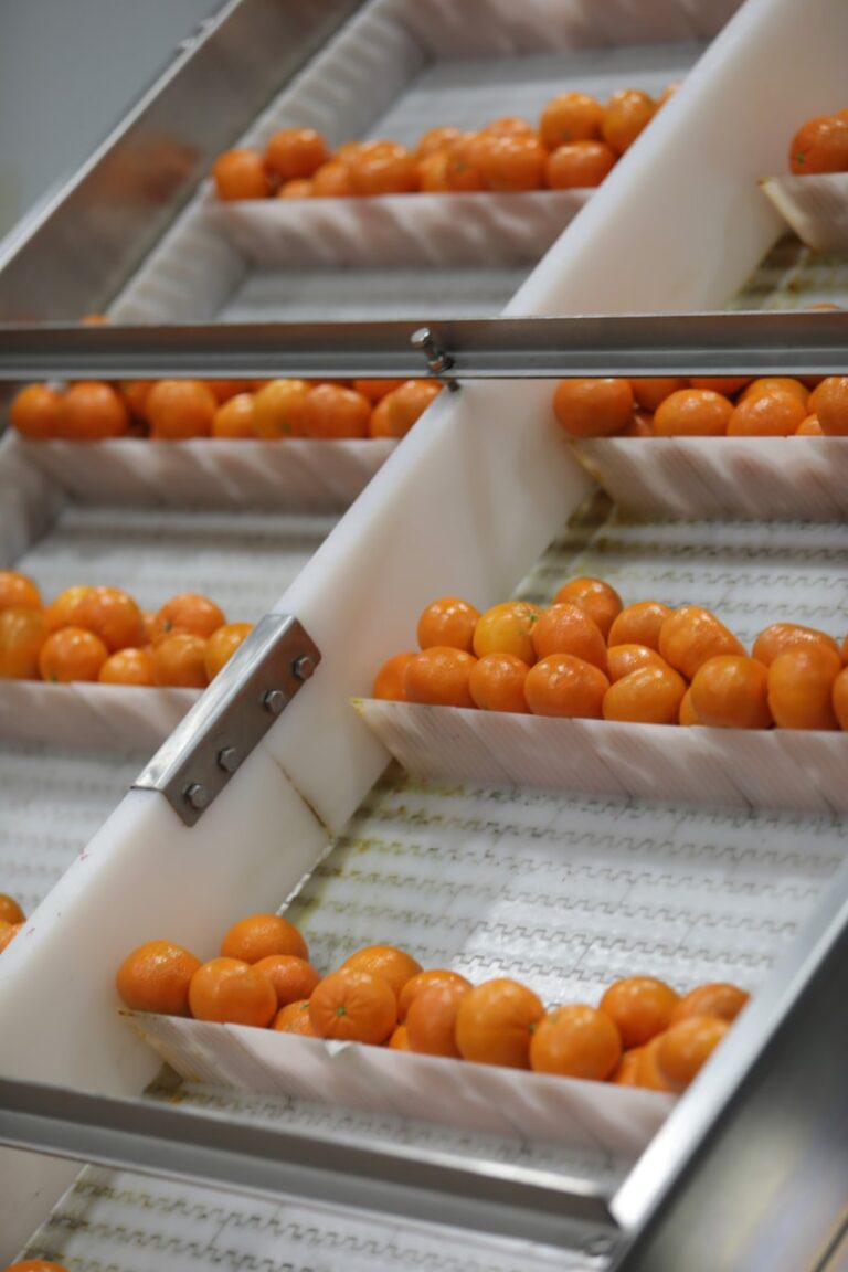 oranges in americold facility