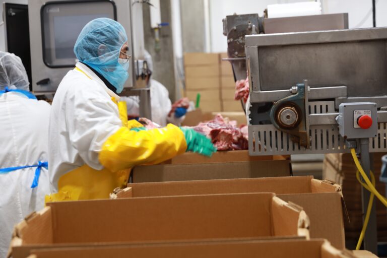 worker handling meat packing