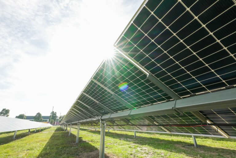 Sustainability Image