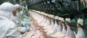 Americold Logistics Cold Chain Meat and Poultry Processing